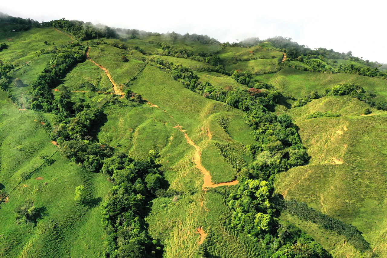 150 Acre Cattle Ranch with Panoramic Views Above the mountains of Uvita - Gallery image 10