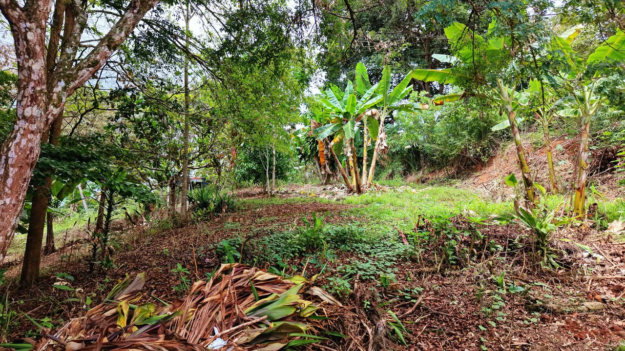 Home Construction Site For Sale in Centro de Pérez Zeledón - Gallery image 16