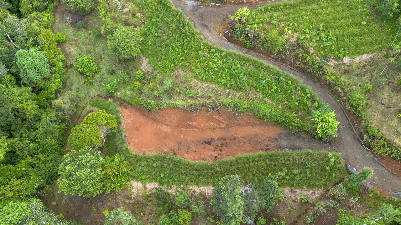10.21 Acres with Views & Plantels – Pérez Zeledón - Gallery image 9
