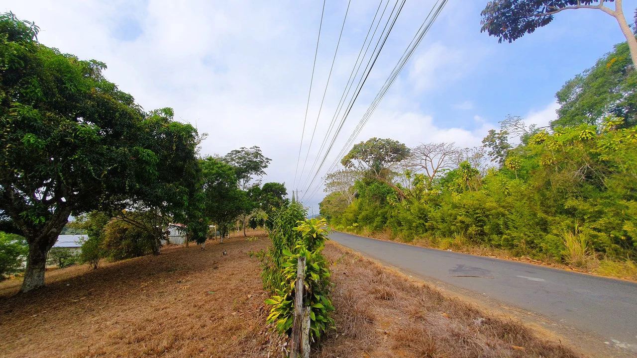 FRUIT TREE PROPERTY FOR SALE: Home Construction Site For Sale in San Isidro del General - Gallery image 10