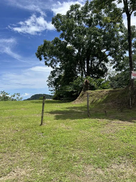 Panoramic 180 Degree Ocean View Lot Ready To Build Close To Ojochal - Gallery image 12