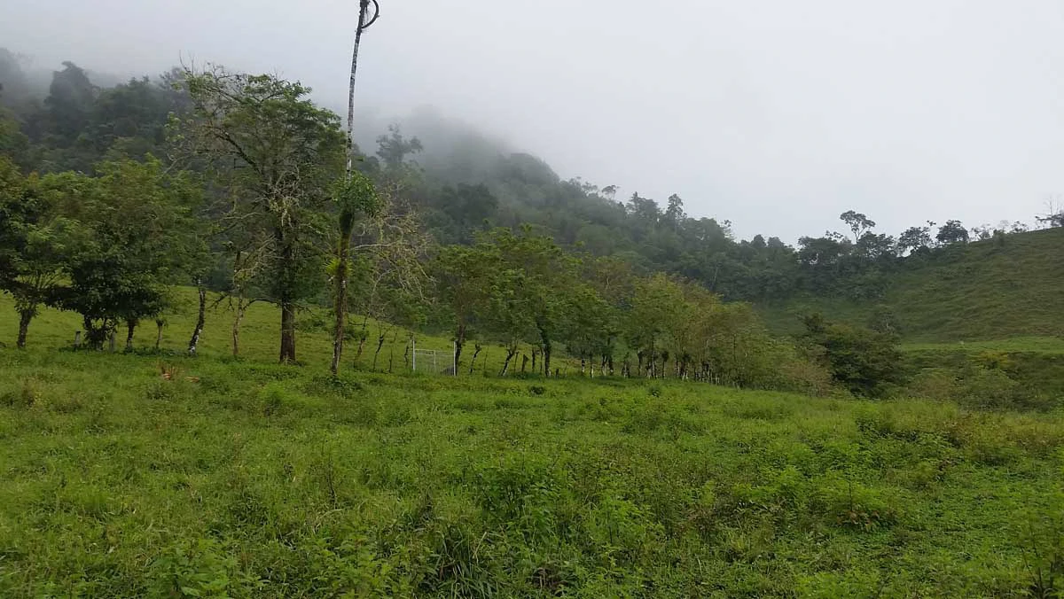 Finca Tesoro Escondido - The Jewel of Uvita - Gallery image 33