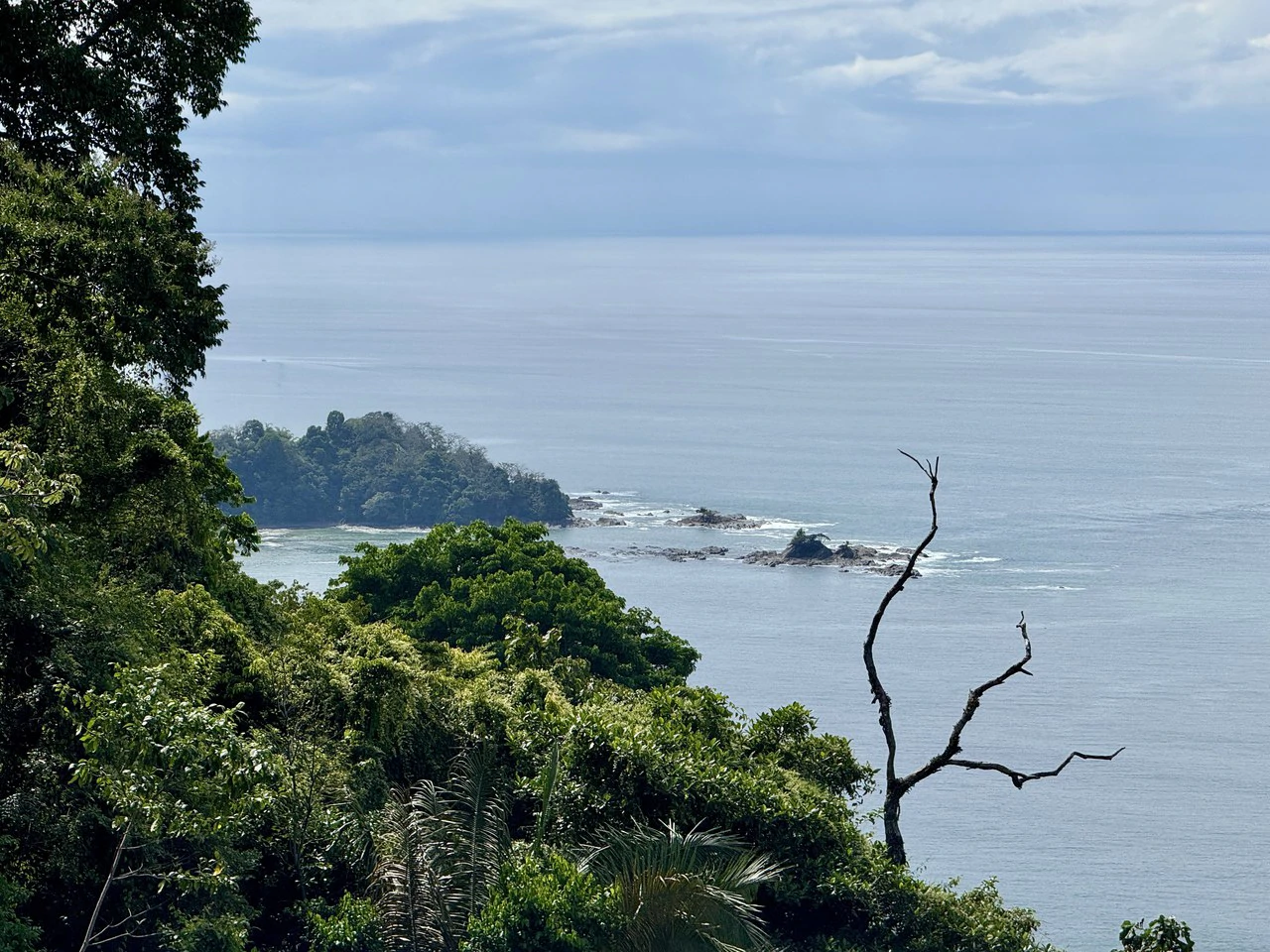 5.7 ACRES – The Best Ocean View Developement Property In Southern Costa Rica!!! - Gallery image 9
