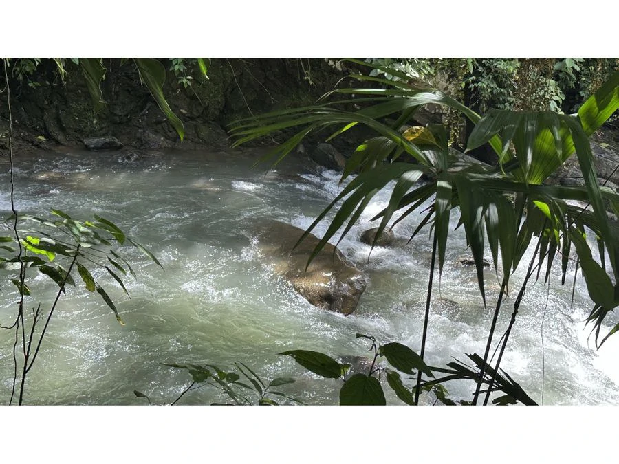 LUXURY HOTEL IN SAN RAMÒN SUR - Gallery image 13