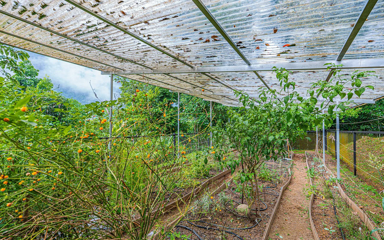 Off Grid Luxury Estate Micro Regenerative Homestead Tinamastes - Gallery image 73