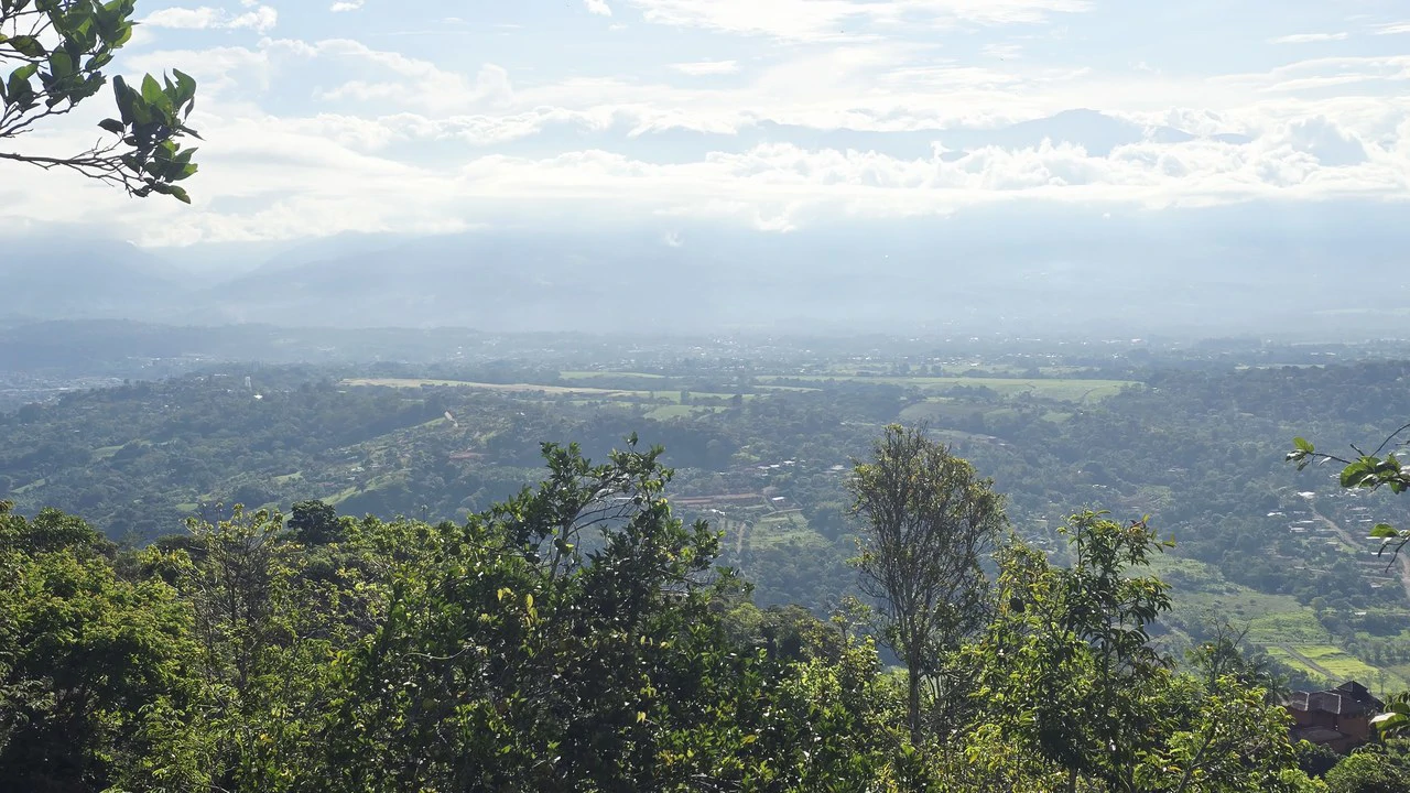 Mountain Agricultural Land For Sale in San Isidro del General - Gallery image 4