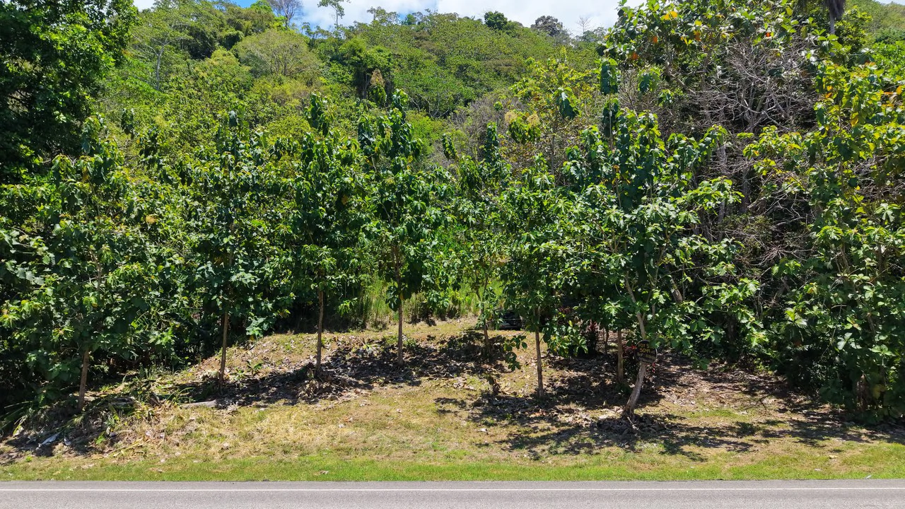 Near the Coast Home Construction Site For Sale in Ciudad Cortés - Gallery image 22