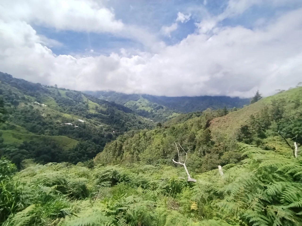 LOTE EN HERRADURA RIVAS.: Mountain Agricultural Land For Sale in San Isidro del General - Gallery image 17