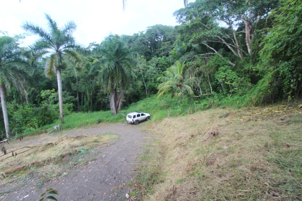 Whitewater Sunset Ocean View Lot Close to Dominical Beach - Gallery image 10