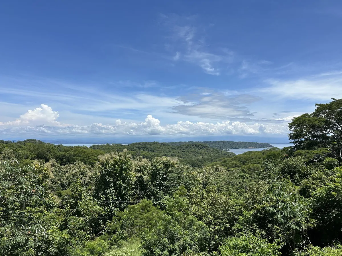 Lote by Naranjo Beach - Blue zone: Ocean View Lot By The Beach: Nicoya Peninsula