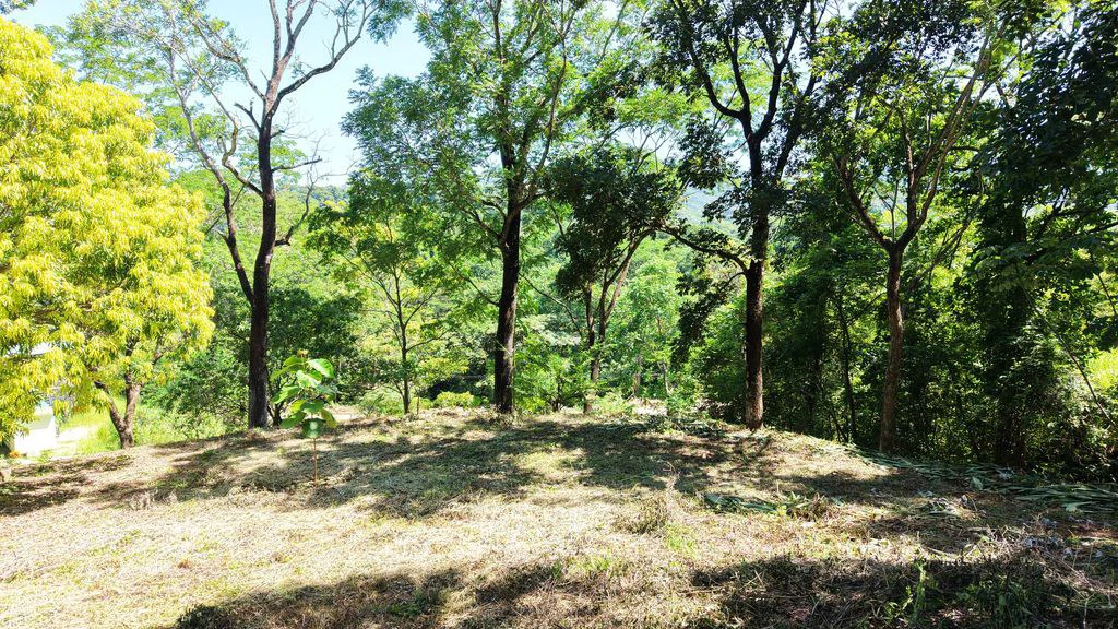 Lote Budry: Exclusive Elevated Lot with Stunning Mountain & Jungle Views Near Samara Beach - Gallery image 4