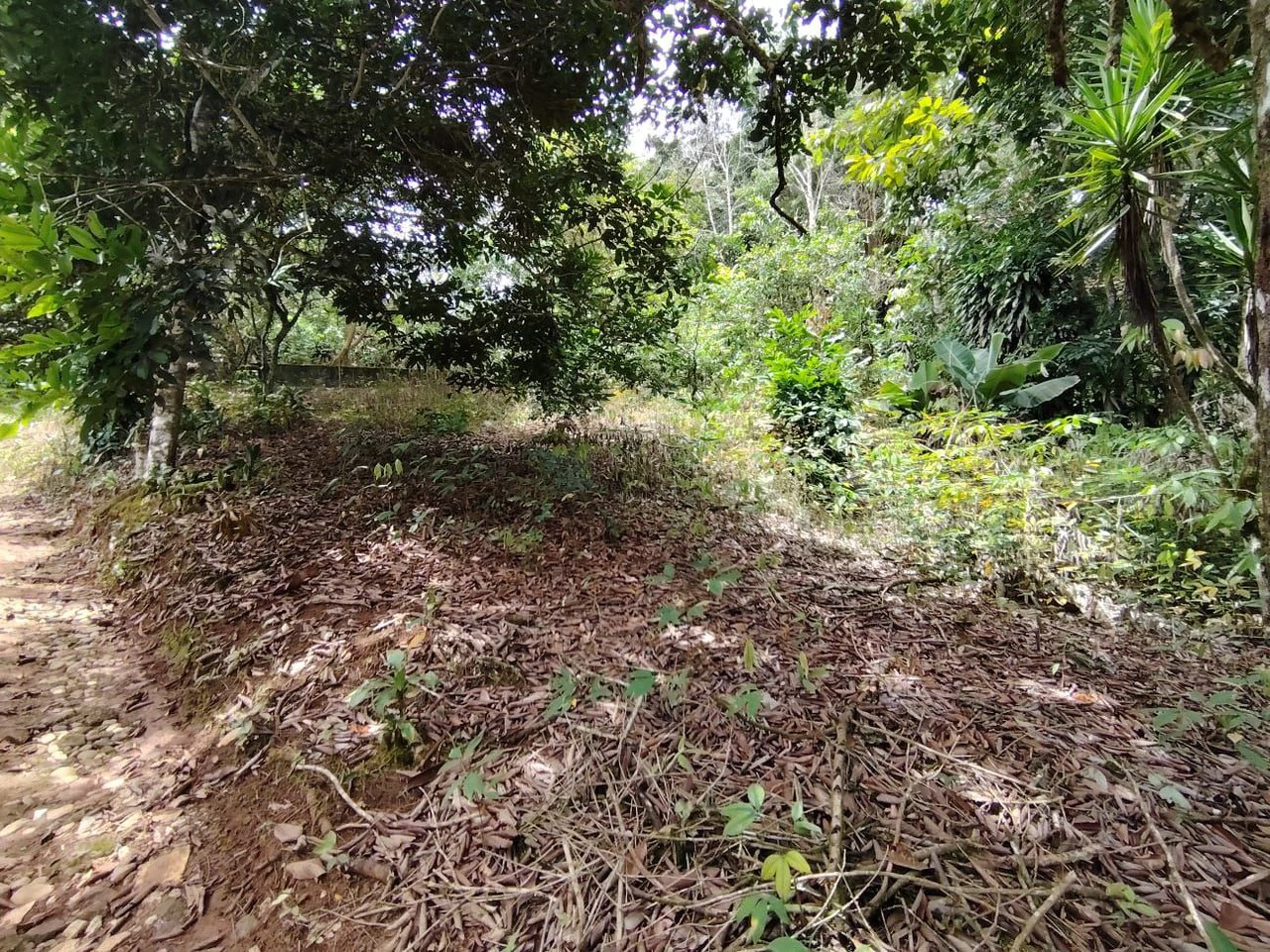 Home Construction Site For Sale in General Viejo - Gallery image 8