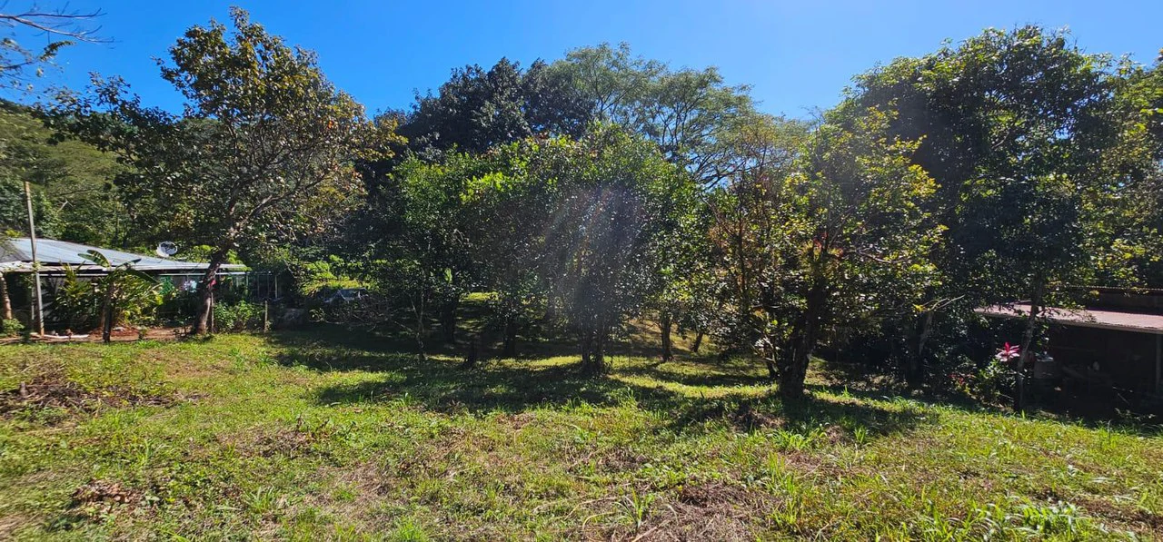 Nature's Gateway: Smart Choice Mixed-Use Property Near Carrillo Beach: Countryside Home Construction Site For Sale in Playa Carrillo - Gallery image 7