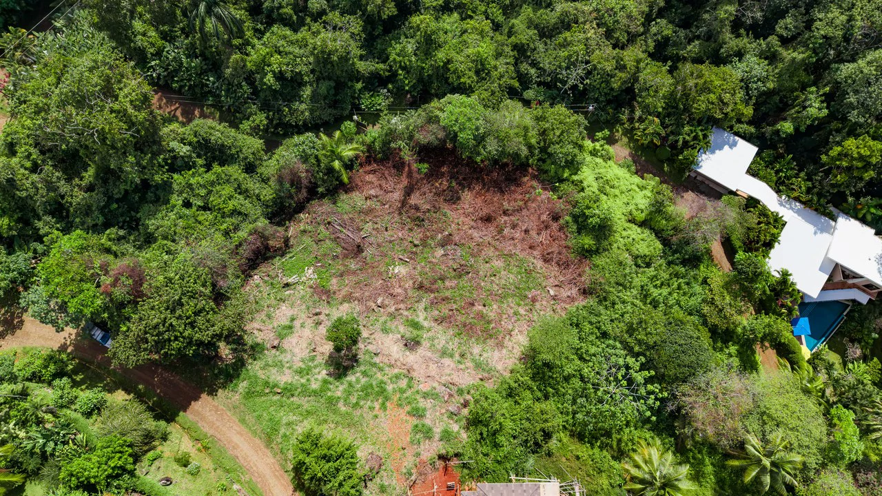 Luxury Ocean View Homesite in Escaleras Playa Dominical - Gallery image 5
