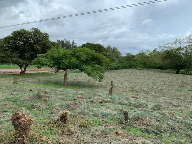 Sale commercial lot in front of the transito Liberia Guanacaste - Gallery image 15
