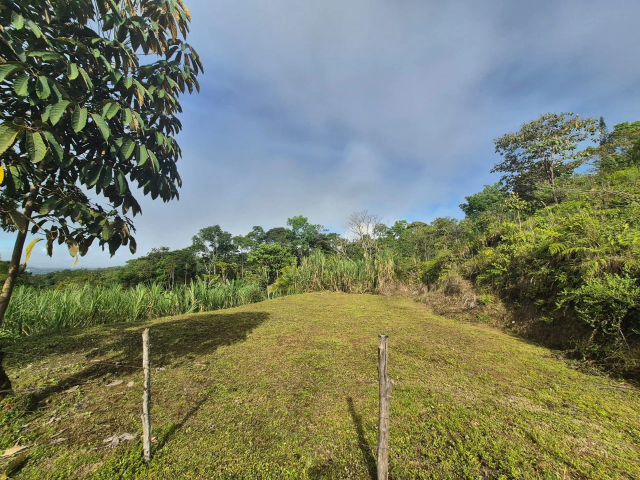 Propiedad en San Blas: Mountain Agricultural Land For Sale in La Linda General Viejo - Gallery image 17