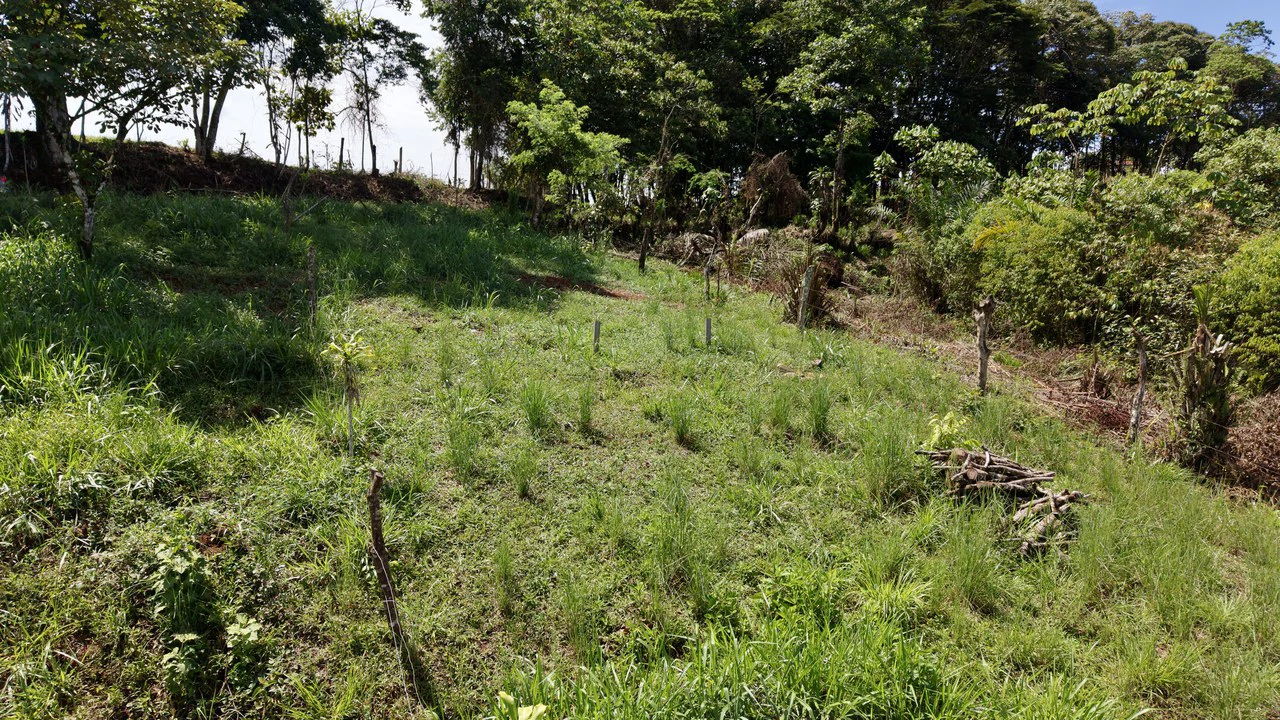 Home Construction Site For Sale in Convento - Gallery image 4