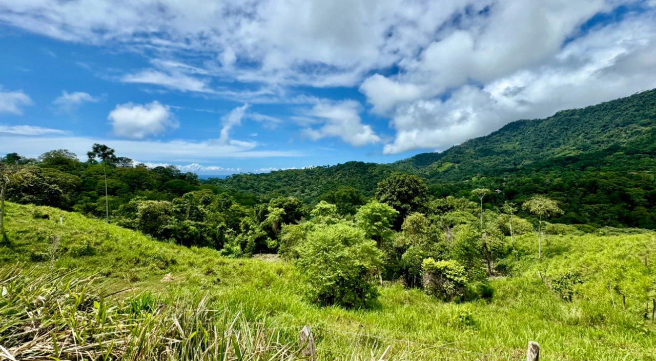 Spring and Waterfall!  3,2 Acres lot in Uvita Mountains - Gallery image 4