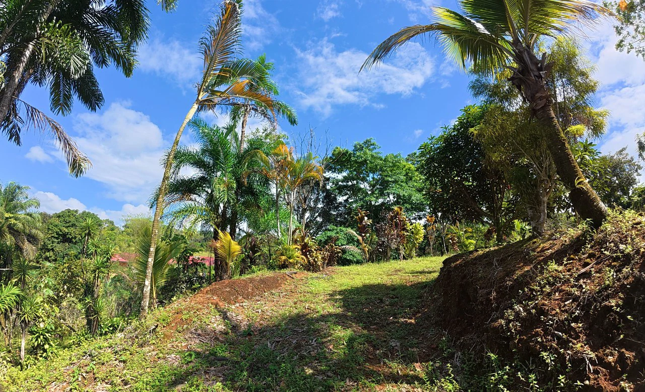 FOR SALE IN LAS MERCEDES DE CAJÓN, PEREZ ZELEDON: Lot for Sale in Las Mercedes de Cajon, Perez Zeledon 2,466 m² - Gallery image 8