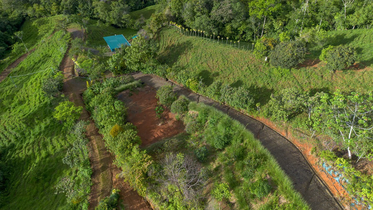 10.21 Acres with Views & Plantels – Pérez Zeledón - Gallery image 27