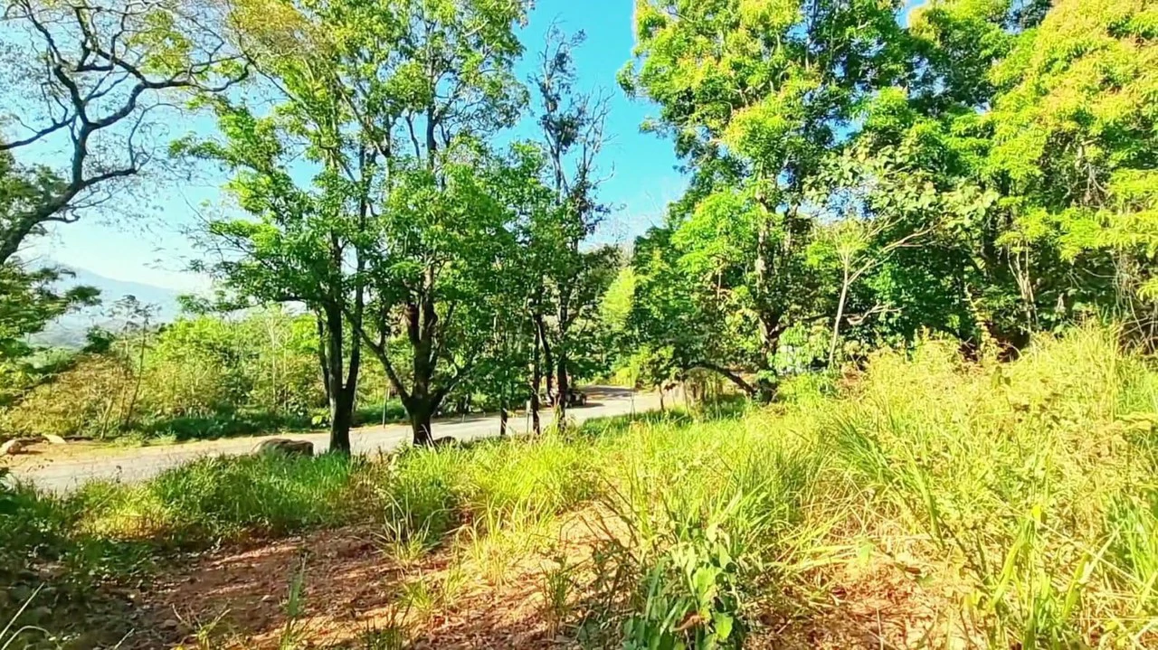 Lot for sale in Alegria Village: BEAUTIFUL LOT FOR SALE IN THE HEART OF ALEGRIA VILLAGE (10602 SQFT) - Gallery image 6