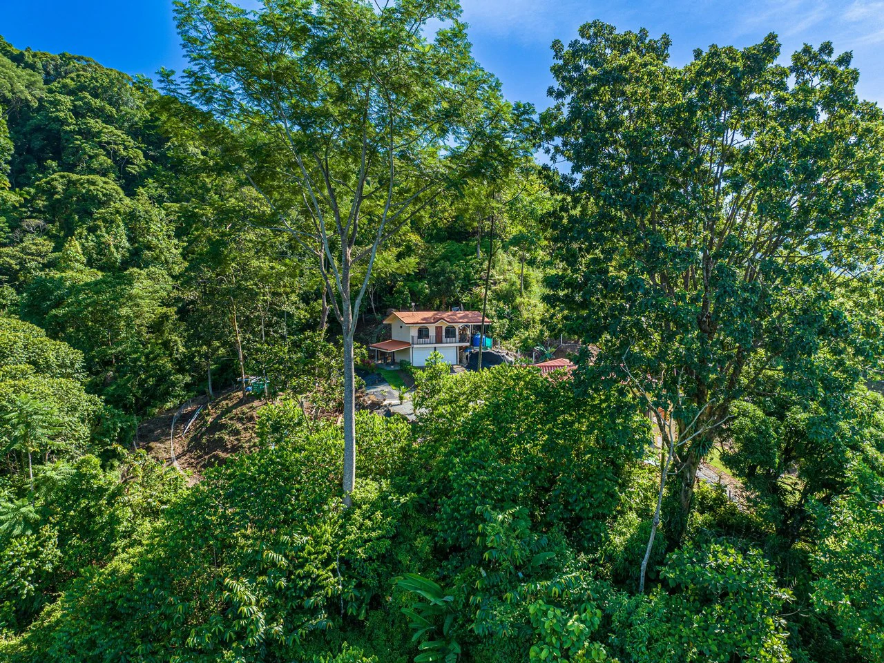 11.25 ACRES- 4 Bedrooms, Two Homes, Panoramic Ocean & Mountain Views With Stream, 30+ Fruit Trees, 40 Minutes to Quepos!!! - Gallery image 2