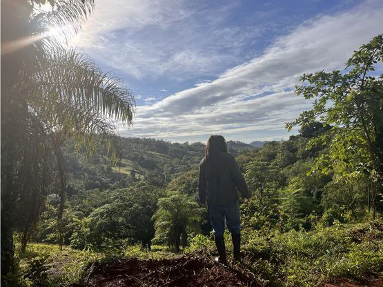 SPECTACULAR ECOLOGICAL MOUNTAIN FARM IN BIJAGUAL DE TURRUBARES - Gallery image 23