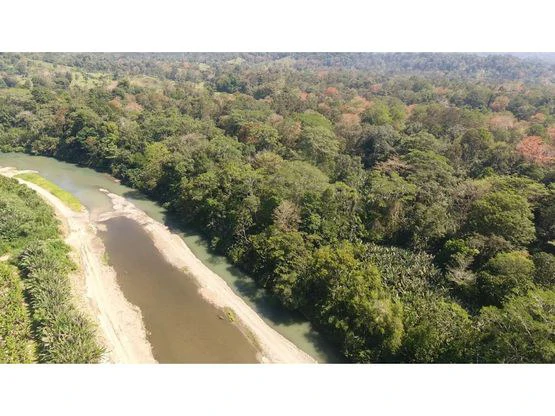 Finca Nanabri: Farm and Ecotourism Land for Sale in Penshurst