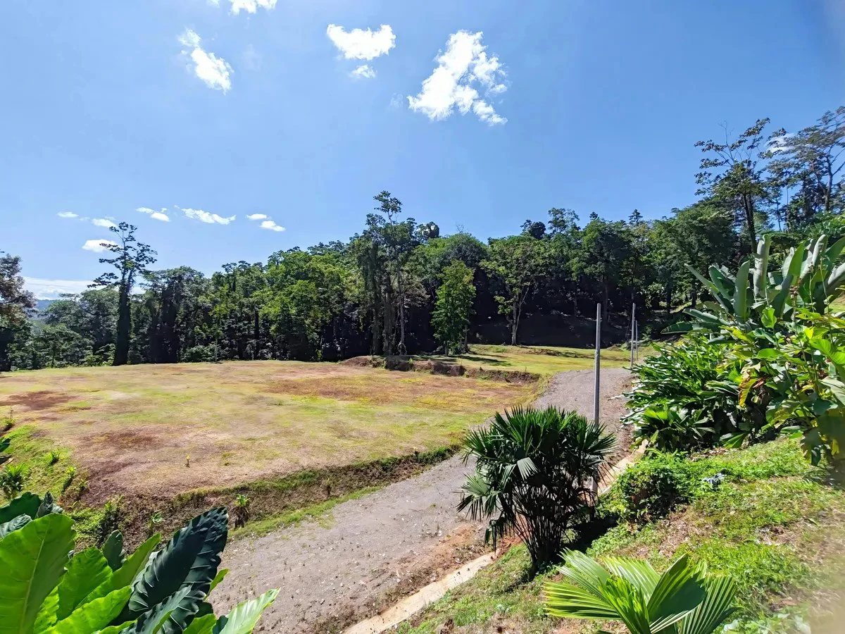 ID 642: Maramar Caribe - Ocean View Land Near Puerto Viejo & Cahuita - Gallery image 9