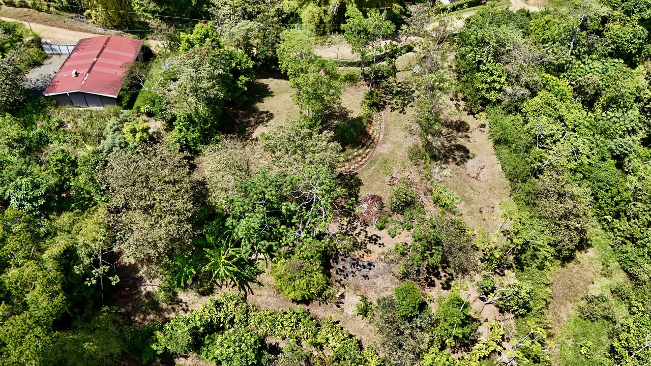 New 1,4 Acre lot in Platanillo – With Legal Water - Gallery image 9