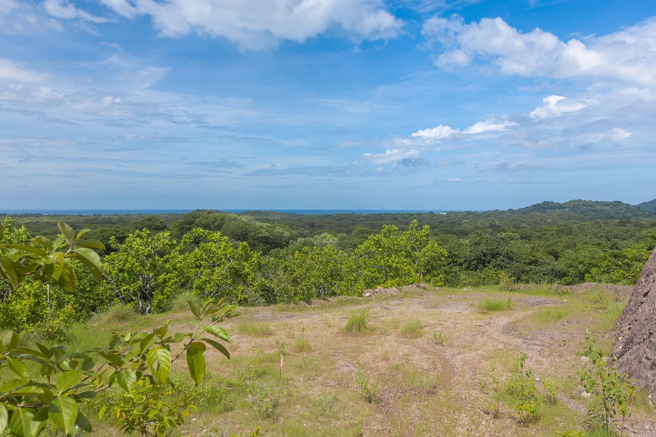 Ocean Views in Playa Grande: 2 Adjacent Ocean View Lots - 1 Great Price! - Gallery image 6