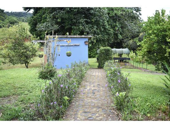 Serene Jungle Farm in Limon Province - Gallery image 69