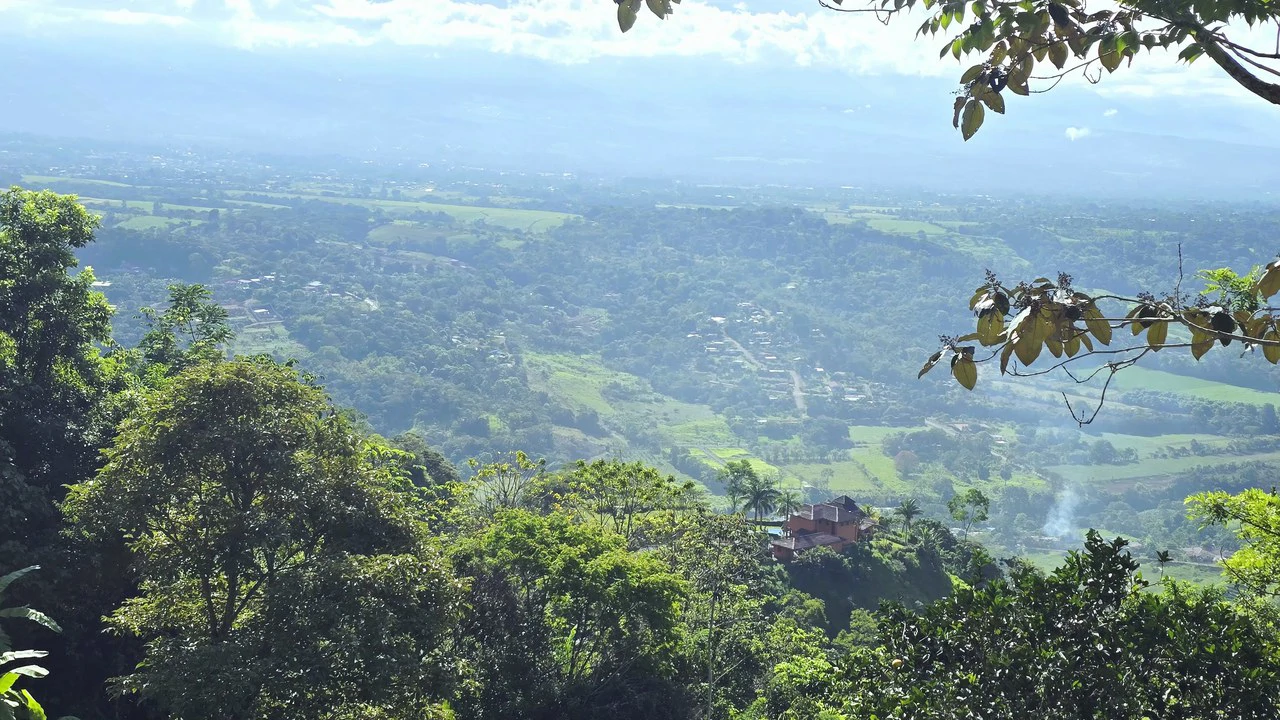 Mountain Agricultural Land For Sale in San Isidro del General - Gallery image 18