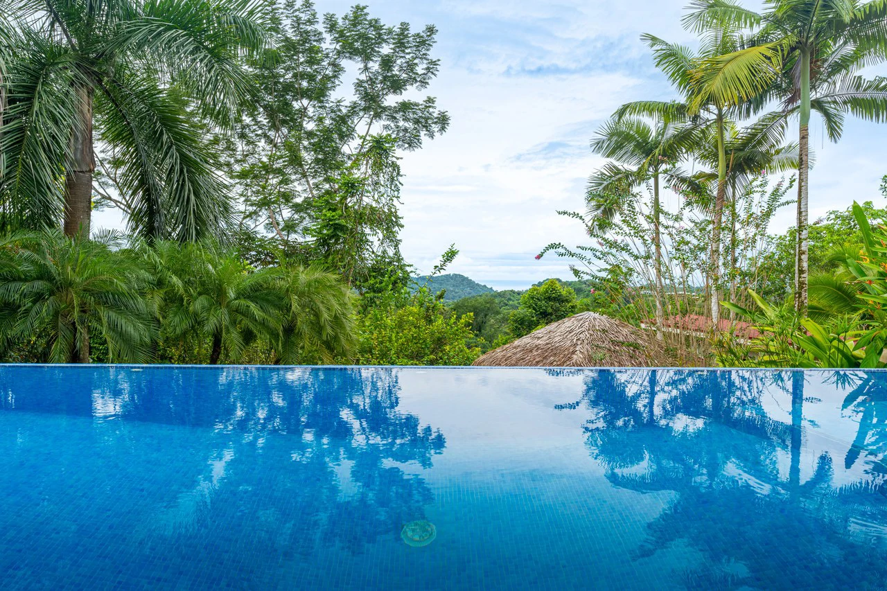 Ocean Mountain View with Privacy! Casa Carpe Diem: Mountain House For Sale in Ojochal - Gallery image 18