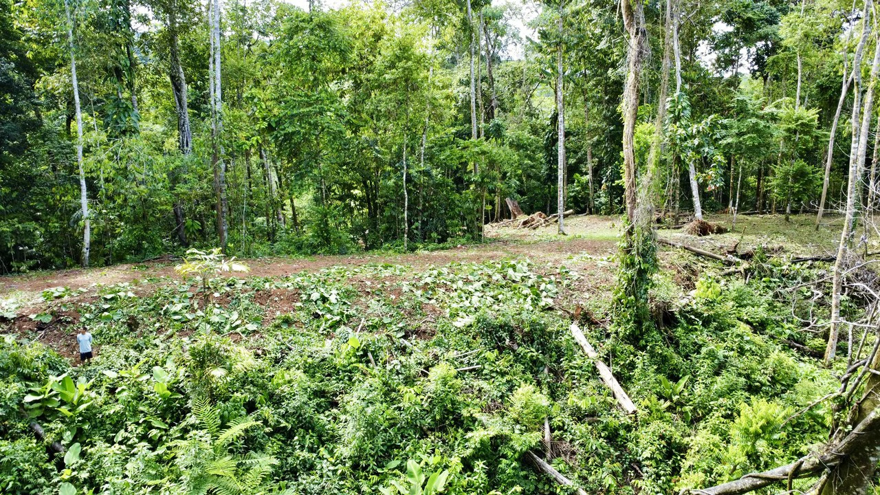 Marvelous Ocean View Parcel in Uvita. - Gallery image 11