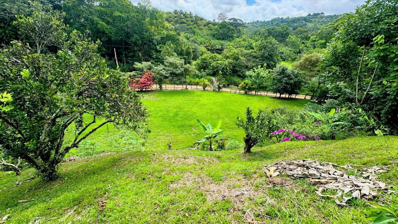 Charming Hardwood Cabin with Fruit Garden Near San Isidro - Gallery image 58