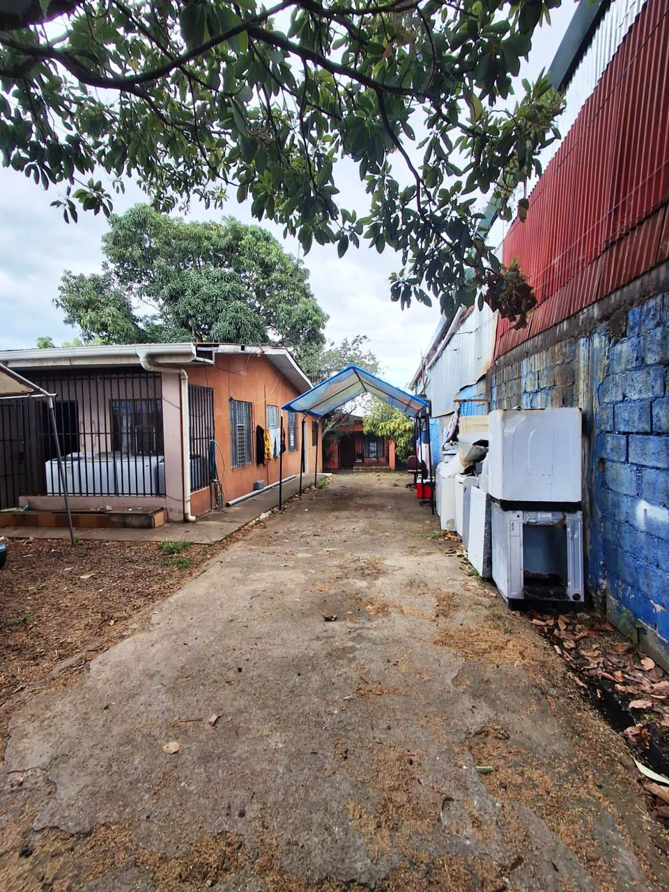 Prime Commercial Investment...: Commercial lot next to future Grecia Mall - Gallery image 6
