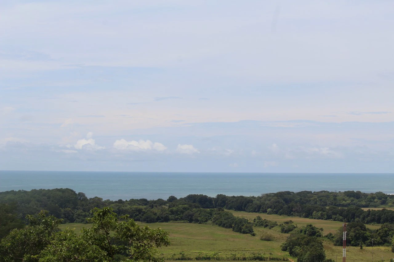 Whitewater Sunset Ocean View Lot Close to Dominical Beach - Gallery image 16