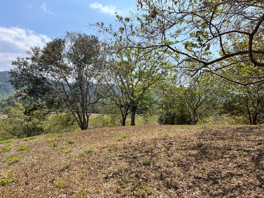 Stunning Views in Nandayure Valley -Amazing land near Bejuco and Pilas beaches Path - Gallery image 17