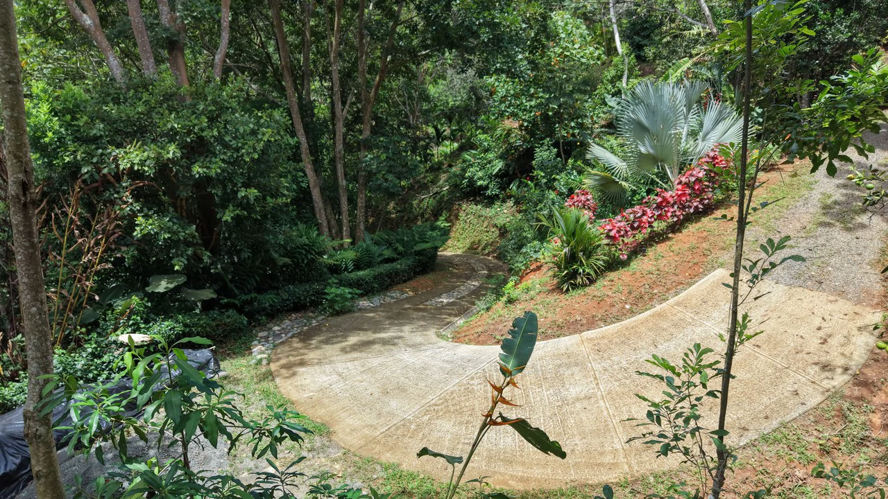 Mountain House For Sale in San Isidro del General - photo 32