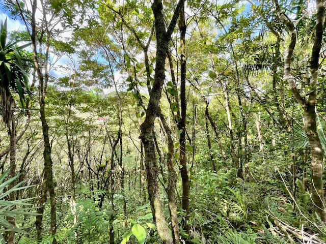 LG-002 Terreno Top Nuevo Arenal: Premium 1.45-Acre Gated Homesite in Nuevo Arenal | Panoramic Lake & Volcano Views, Private Boat Dock & Clubhouse - Gallery image 15