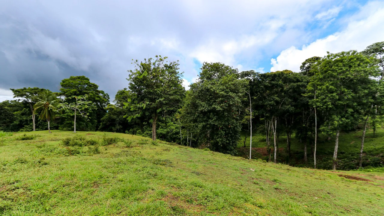 Unique Development Property Overlooking the Pristine Golfito Bay and Golfo Dulce - Gallery image 40