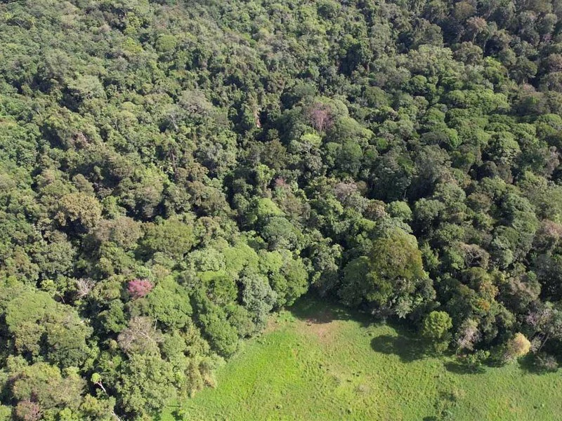 69.16 Acres Property | Mountain & Top Ocean View with Small Home - Gallery image 9