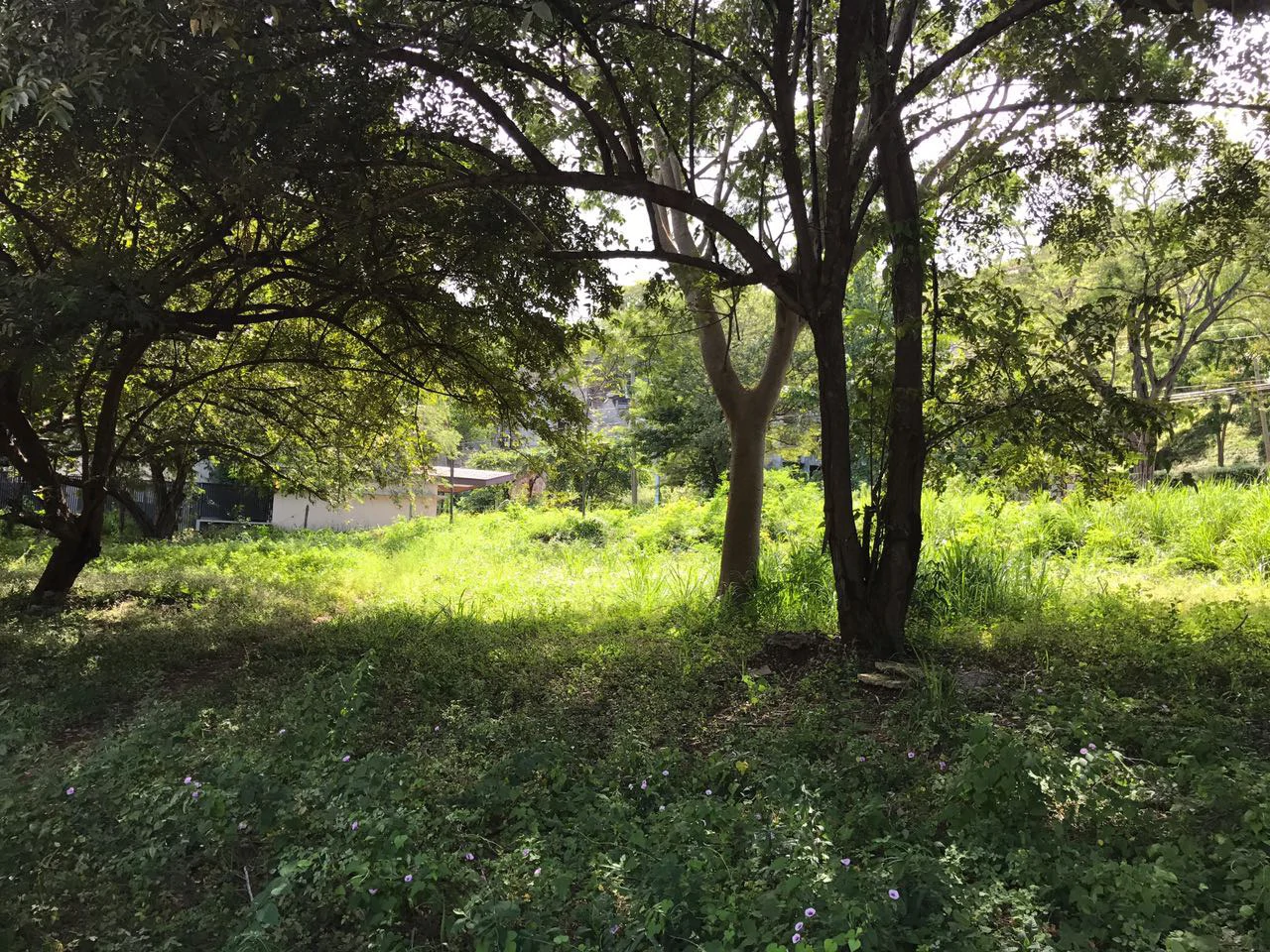 Commercial Property for Sale Located in Playa Hermosa, Guanacaste - Gallery image 8