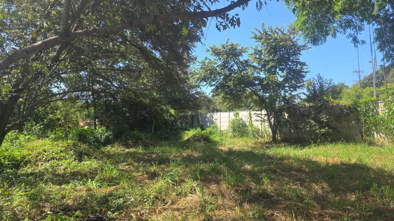 Commercial Airport property for sale with public road frontage on route #21, close to Liberia International Airport - Gallery image 7