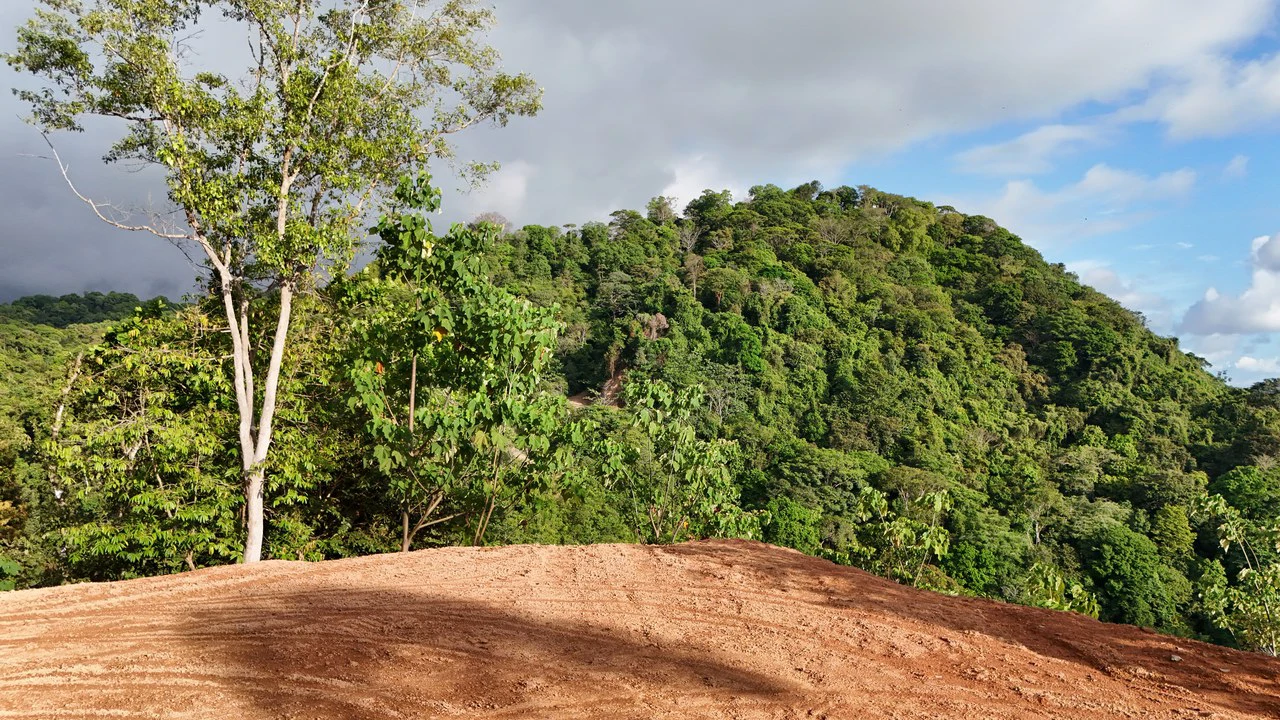 Stunning Ocean and Terraba River view property in Ojochal - Gallery image 8