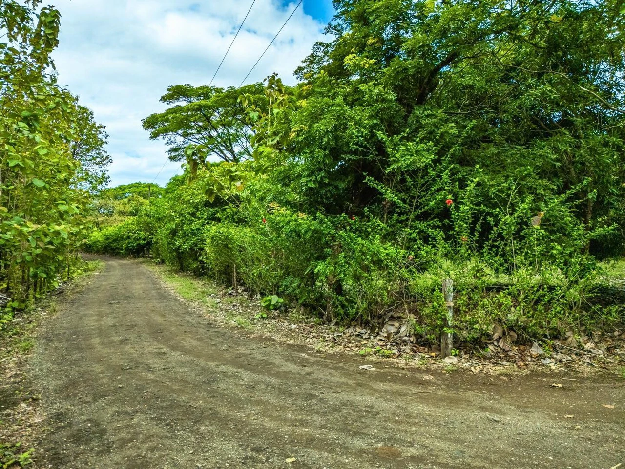 Marbella Dream Lot: 2.4 Acres of Natural Beauty Near the Beach - Gallery image 8