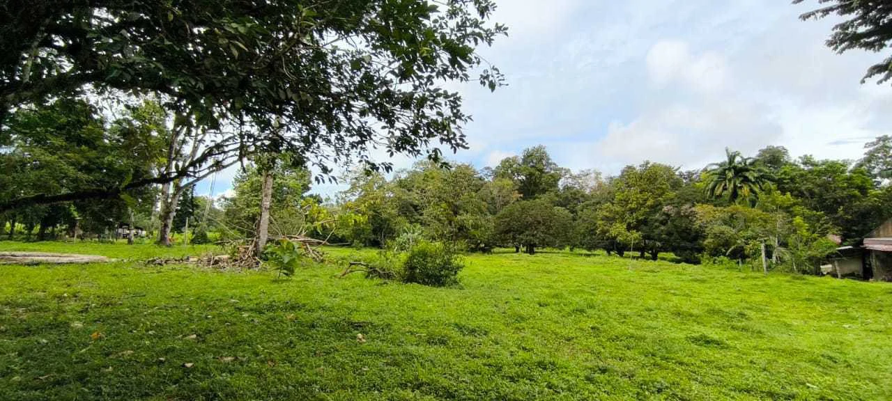23 Acres of Paradise at Bahia Drake - Gallery image 26