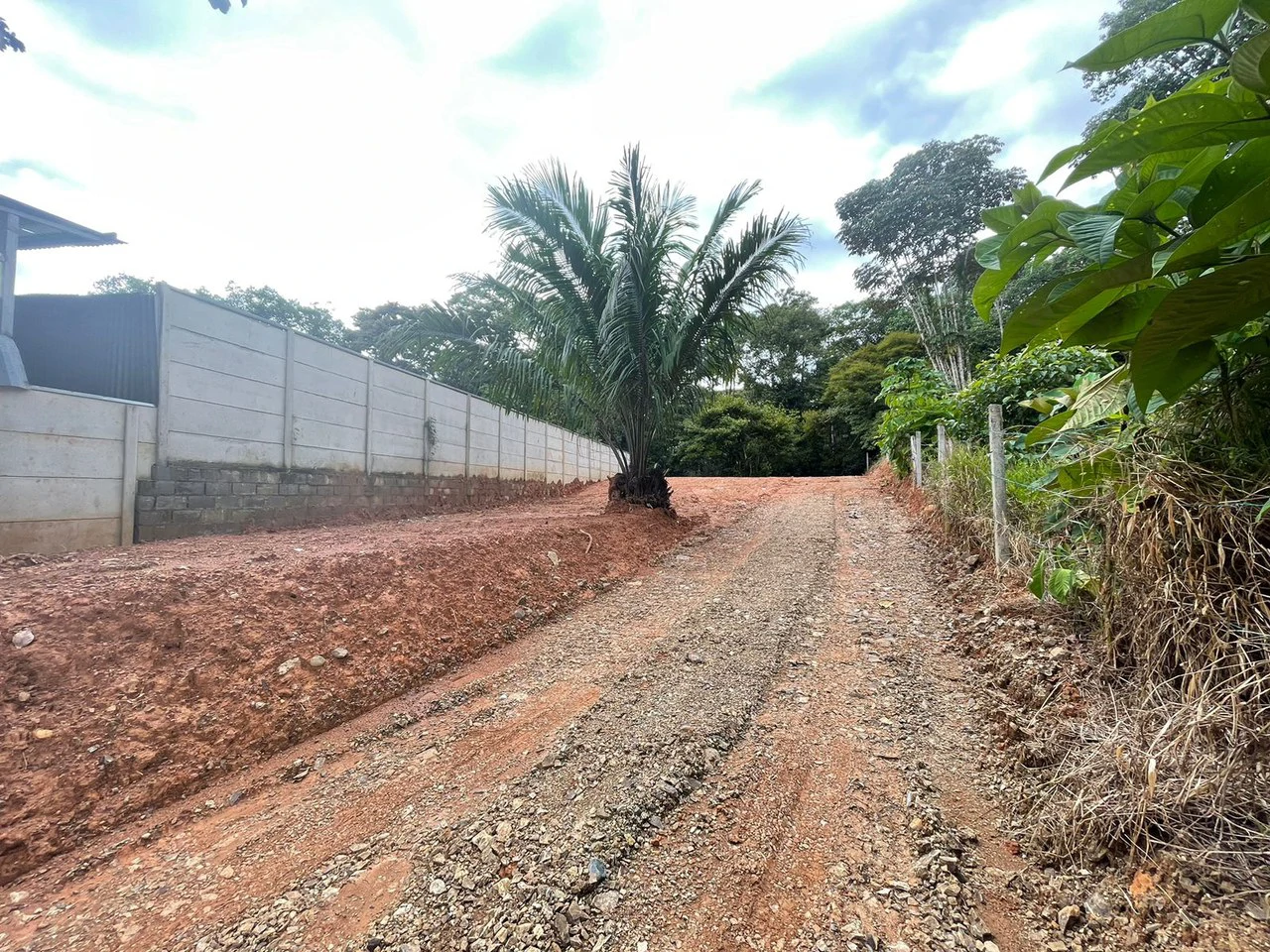 "Serene Land in Uvita: Opportunity Ready to Build" - Gallery image 5