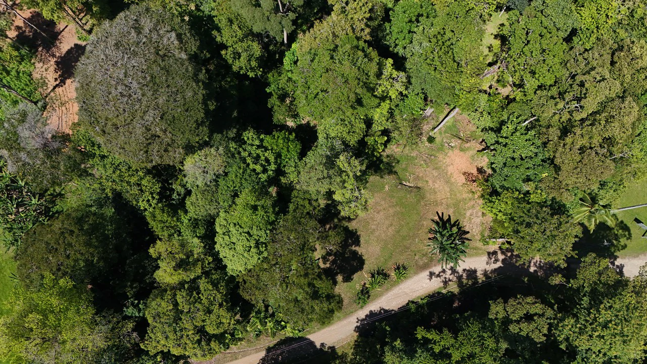 Private Beach Community | 1,708 m² Build-Ready Lot in Ballena - Gallery image 6